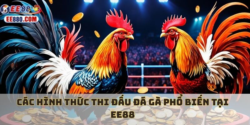 4 hình thức đá gà EE88